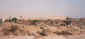 panoramafoto stad2.jpg (86398 bytes)